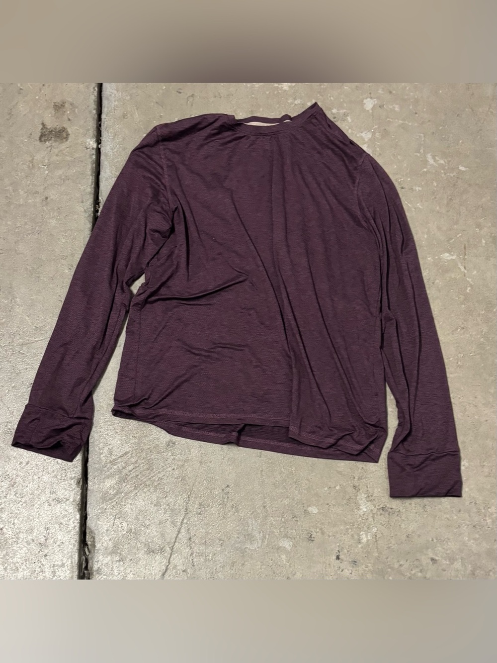 Long Sleeve Crewneck Top in Plum